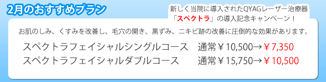 はやしクリニック2月のおすすめプラン